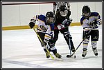 GM-IMG_6513.jpg