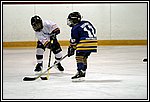 GM-IMG_7926.jpg
