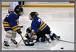 GM-IMG_7992.jpg