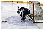 GM-IMG_8082.jpg