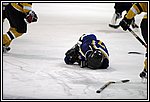GM-IMG_8325.jpg