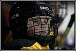GM-IMG_8350.jpg