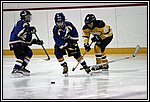 GM-IMG_8393.jpg