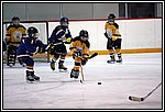 JB-KL9D0261.jpg