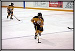 JB-KL9D0536.jpg